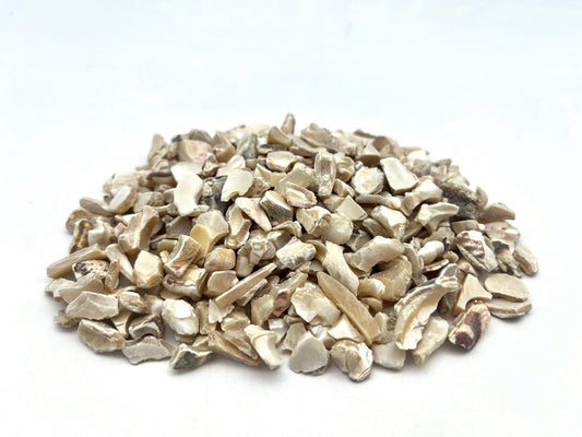 貝殻骨材　巻貝(乳白)　約9~12mm　1kg(送料込み)